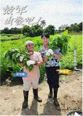 一路向西的夏天 海报